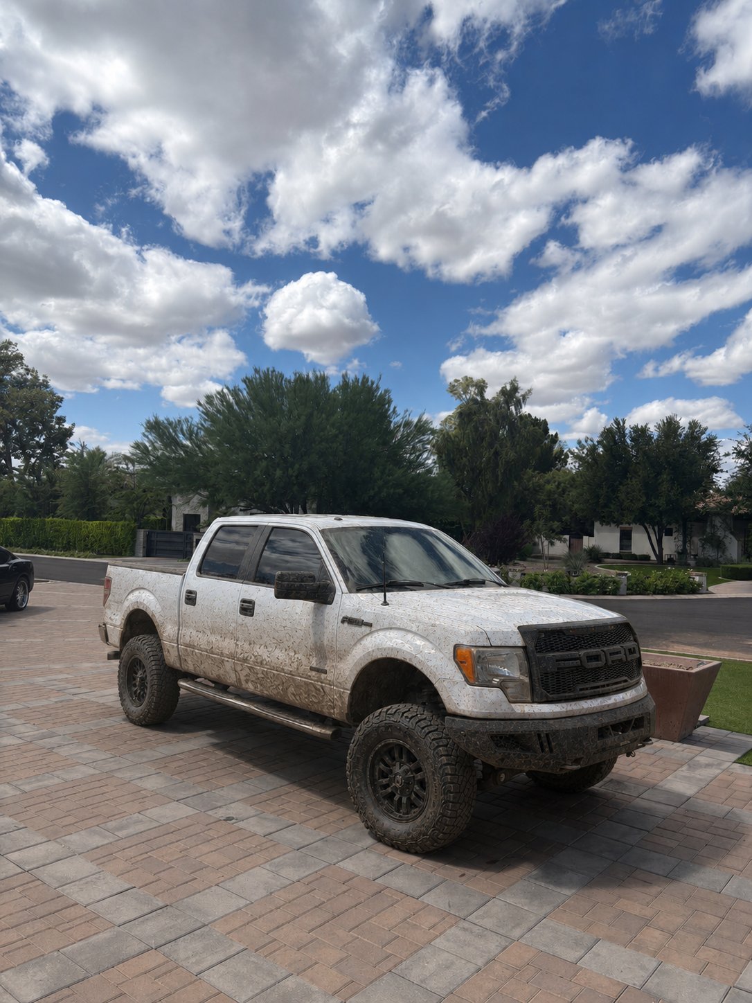 F-150 after detail